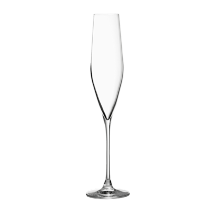 Bacci Crystal Champagne Flute