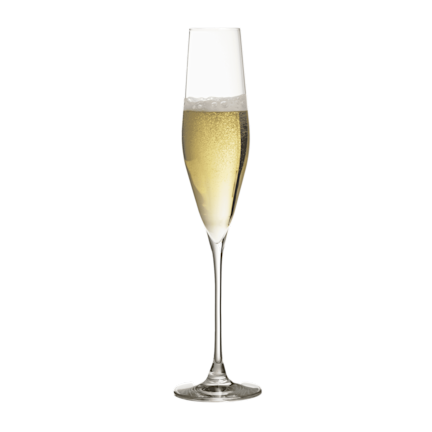 Bacci Crystal Champagne Flute